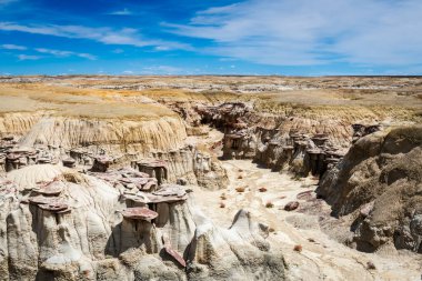 New Mexico çölünde kuru temizleme ve kabadayılar.