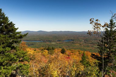 Güneşli bir günde New Hamphire 'da sonbahar yeşillikleri