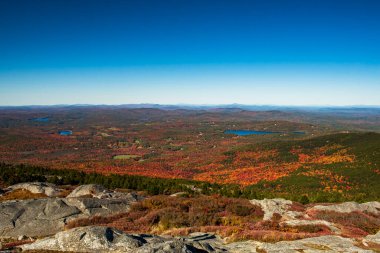 Hills and forest during fall foliage peak season clipart