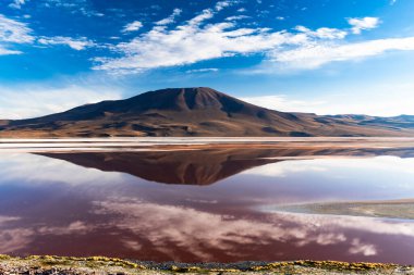 Jorcada volkanı ve laguna colorada kırmızı renkleri