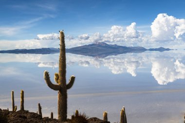 Tunupi vlocano Uyuni slat düz üzerine yansıyan