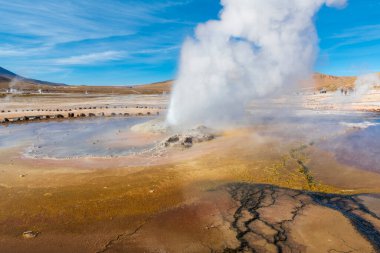 El Tatio 'da kaplıca renkleri