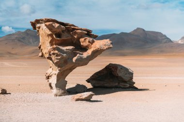 Bolivya 'daki Dali Çölü' ndeki taş ağacı.