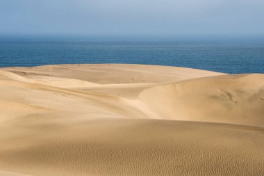 Namib-Naukluft Ulusal Parkı Çölün okyanusla buluştuğu yer