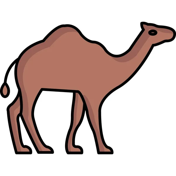 Иконка Верблюда Плоском Стиле Изолированы Белом Фоне Векторная Иллюстрация Символов — стоковое фото