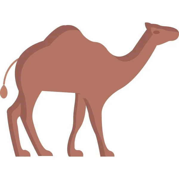 Іконка Верблюда Мультиплікаційному Стилі Ізольована Білому Тлі — стокове фото