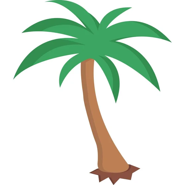 Palmeira Ilustração Vetorial — Fotografia de Stock