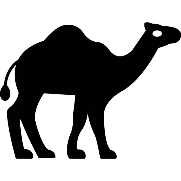 Чёрный Силуэт Верблюда — стоковое фото