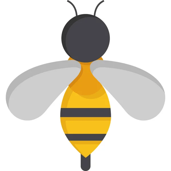 Bee Insect Vector Illustration — Stock Vector