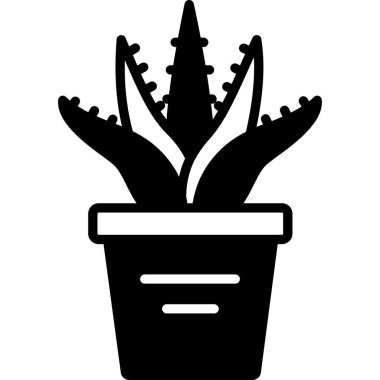 İzole edilmiş arka plana sahip Aloe Vera illüstrasyonu