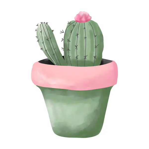 Cactus Potten Vit Bakgrund — Stock vektor