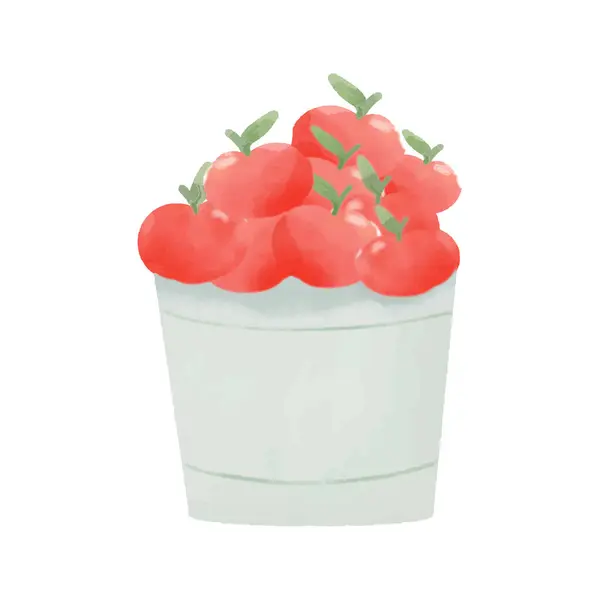 Aquarelle Cerise Tomates Dans Seau Sur Fond Blanc Illustration Vectorielle — Image vectorielle
