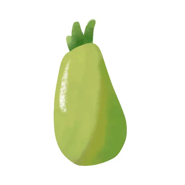 一种绿色的茄子 顶部为绿色 侧面为绿色叶子 图库插图
