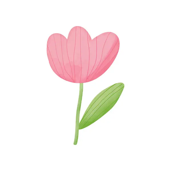 美丽的粉红色郁金香花 白色的背景隔离 矢量说明 — 图库矢量图片
