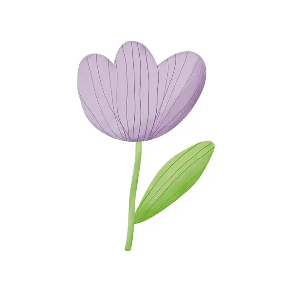 Όμορφο Μωβ Λουλούδι Τουλίπας Απομονωμένο Λευκό Φόντο Εικονογράφηση Διανύσματος Διανυσματικά Γραφικά