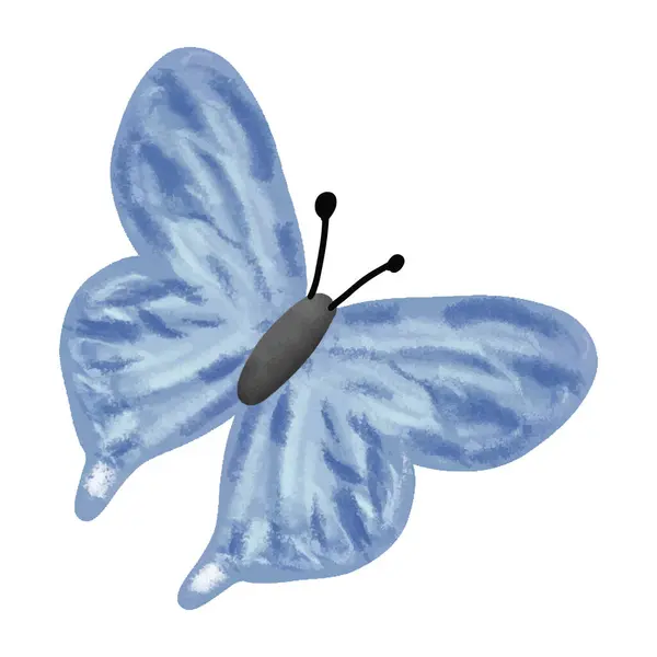 Blauwe Vlinder Aquarel Doodle Art Wit Vectorbeelden