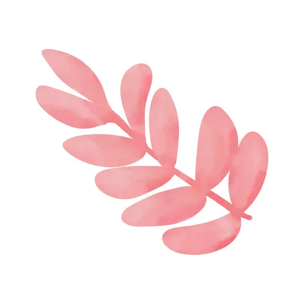 Рожевий Листя Кавуна Ізольований Білому Тлі Стокова Ілюстрація