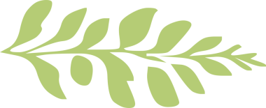 Yeşil suluboya boya yaprağı