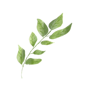 İzole vektör yeşil yaprak 