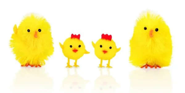 Isolated toy chicken family. Mom children and father. Funny Easter background. Relationship concept