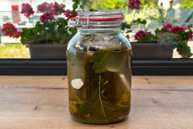 Yabanturplu salatalık turşusu ve büyük cam bir kavanozda sarımsak, geleneksel bir Polonya yemeği..