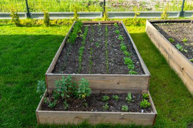 A wooden crate with various vegetables, standing on the grass in the garden. clipart