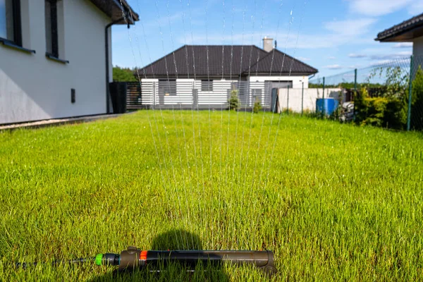 Травяные Качели Поливают Газон Заднем Дворе Дома — стоковое фото