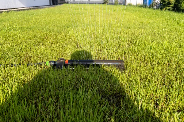 Травяные Качели Поливают Газон Заднем Дворе Дома — стоковое фото
