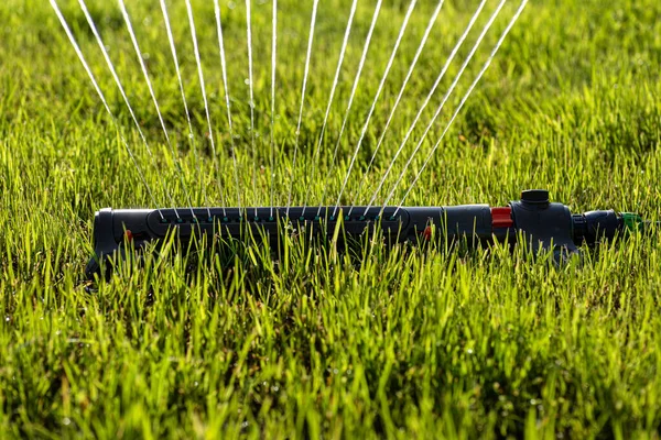 Grass Swing Sprinkler Watering Lawn Backyard House — Stock Photo, Image