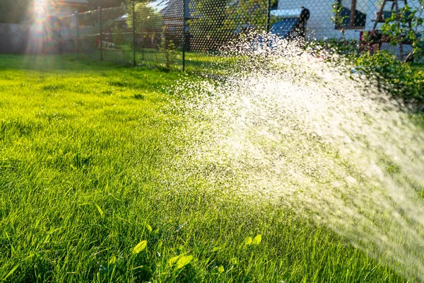 Watering Young Grass Garden Hose Visible Drops Water Background Sun — Stock Photo, Image
