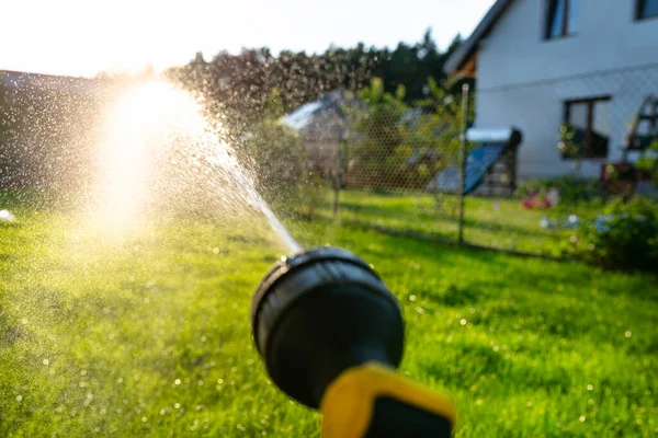 stock image Watering young grass from a watering gun, visible drops of water against the background of the sun.