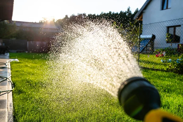 Watering Young Grass Watering Gun Visible Drops Water Background Sun — Stock Photo, Image