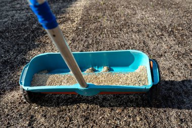 Sowing grass with a wheeled seeder, visible grass grains and black soil.