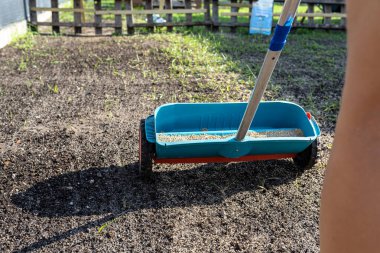 A woman sows grass with a wheel seed drill, visible grains of grass and black earth.