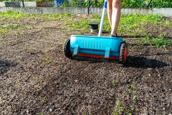 stock image A woman sows grass with a wheel seed drill, visible grains of grass and black earth.