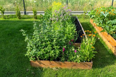 Bahçedeki çimlerin üzerinde duran çeşitli sebzelerle dolu ahşap bir sandık..