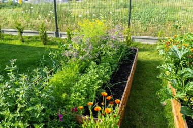 Bahçedeki çimlerin üzerinde duran çeşitli sebzelerle dolu ahşap bir sandık..