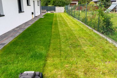 Mowing grass with an electric, powered mower, with a cutting width of 44 cm, visible mown rows. clipart