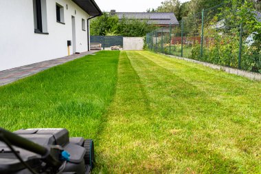 Elektrikli, elektrikli çim biçme makinesi ile çimenleri biçme genişliği 44 cm, görünür biçme sıraları.