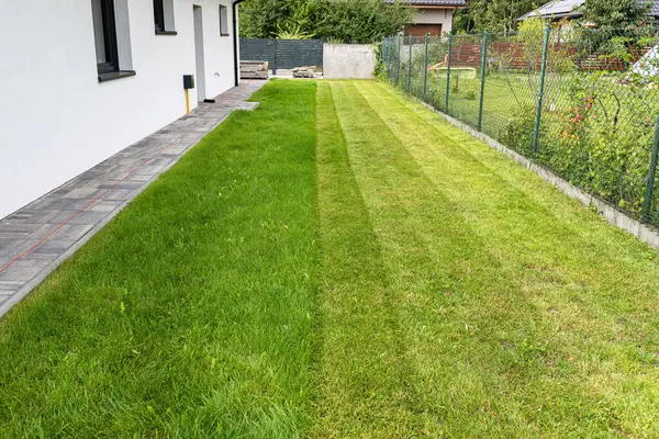 Mowing grass with an electric, powered mower, with a cutting width of 44 cm, visible mown rows.