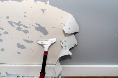 Boya ve yapışkan kazıyıcı kullanarak köpek pençelerinden zarar görmüş bir duvardan silikon boyayı çıkarmak..