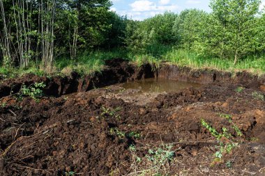 Excavating peat from marshy swamps, visible hole with groundwater. clipart