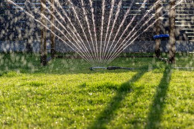 Çimen salıncakları evin arka bahçesindeki çimleri suluyor..