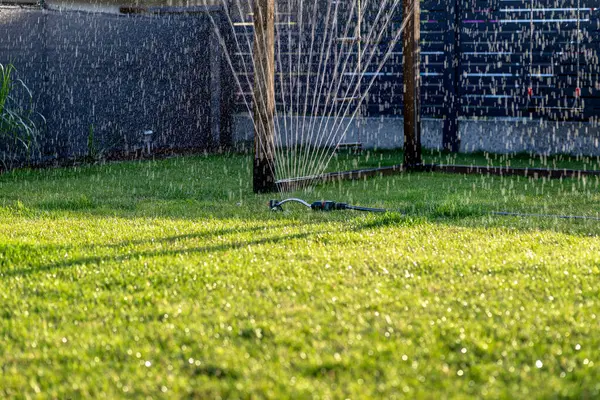 stock image Grass swing sprinkler watering the lawn in the backyard of a house.