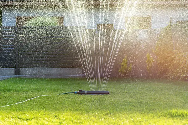 stock image Grass swing sprinkler watering the lawn in the backyard of a house.