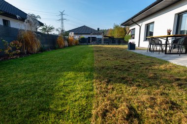 Kış sezonundan önce elektrikli bir korkuluk kullanarak çimleri korkutuyorsun..