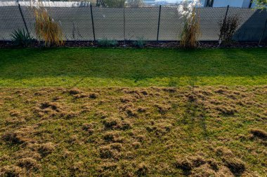 Kış sezonundan önce elektrikli bir korkuluk kullanarak çimleri korkutuyorsun..