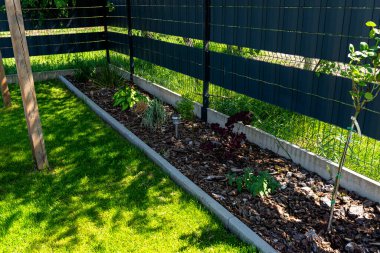 Çit boyunca çam ağacının kabuğunda yetişen süslü bitkiler..