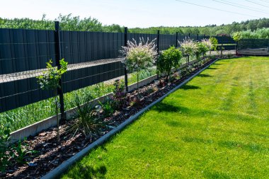 Hakuro ve Iwa söğütleri çit boyunca çam ağacının kabuğunda yetişiyor..