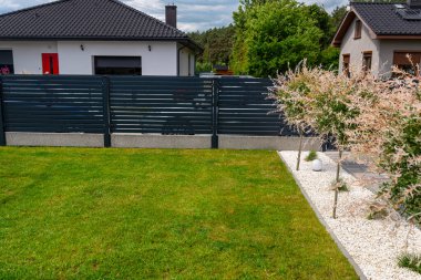 Küçük taşlar ve garaj yolu arasında modern bir arazide yetişen bir hakuro söğüdü..